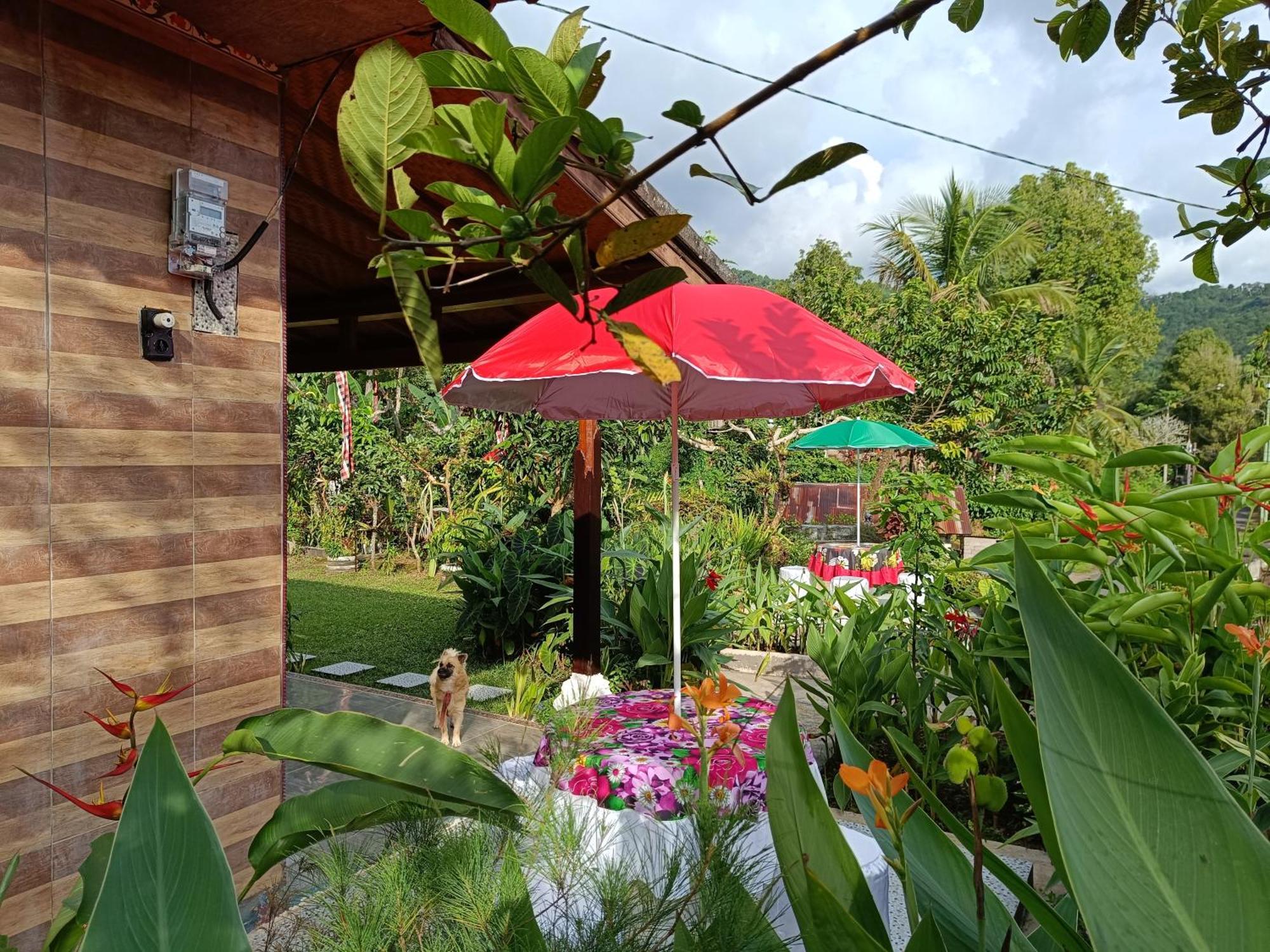 Апартаменти Gosela Bali Мундук Екстер'єр фото